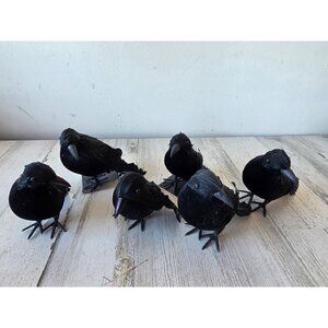 Greenbrier graveyard Crow Bird‎ Halloween realistic prop feather decor